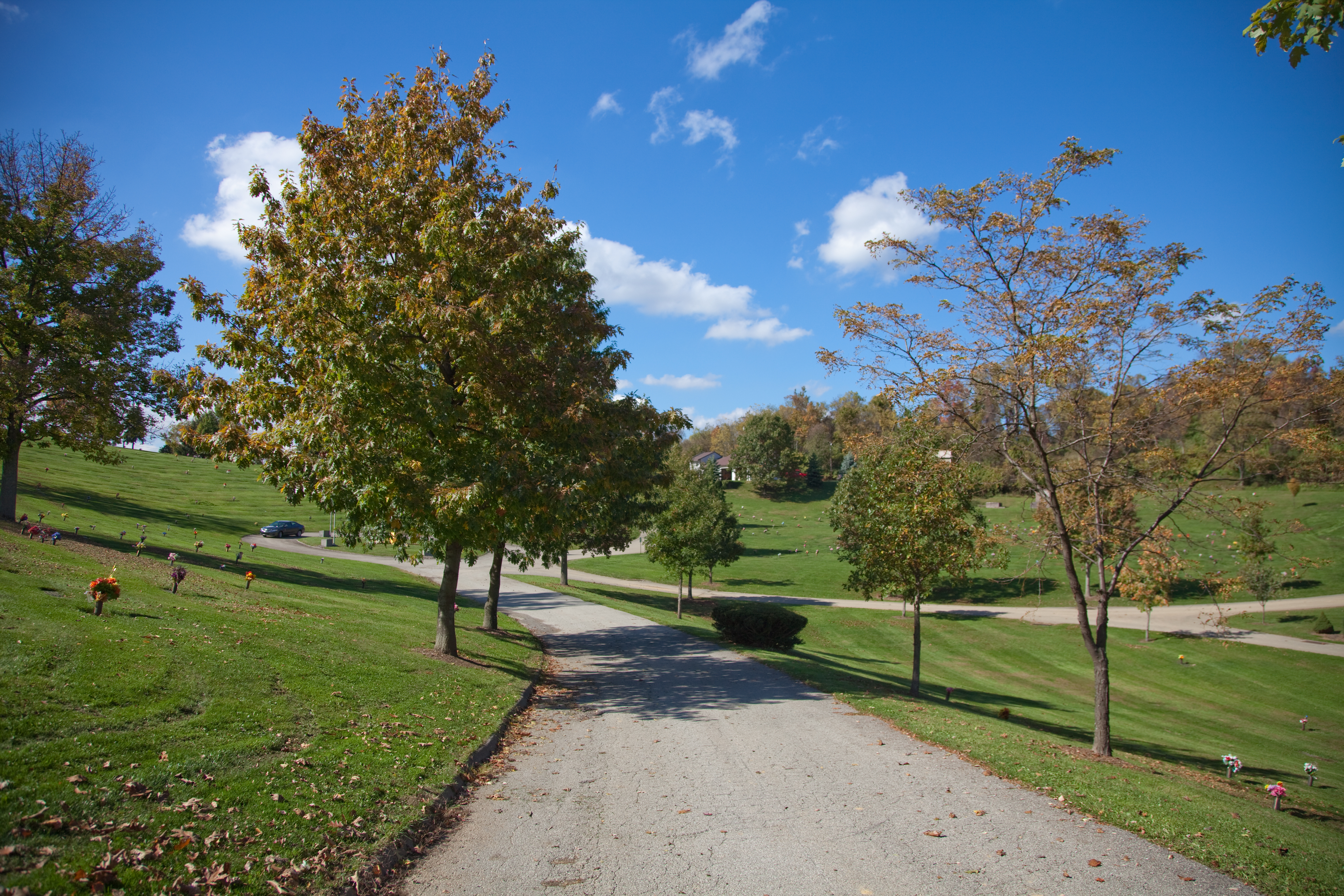 Premium cemetery burial location with lakeside view and mature trees